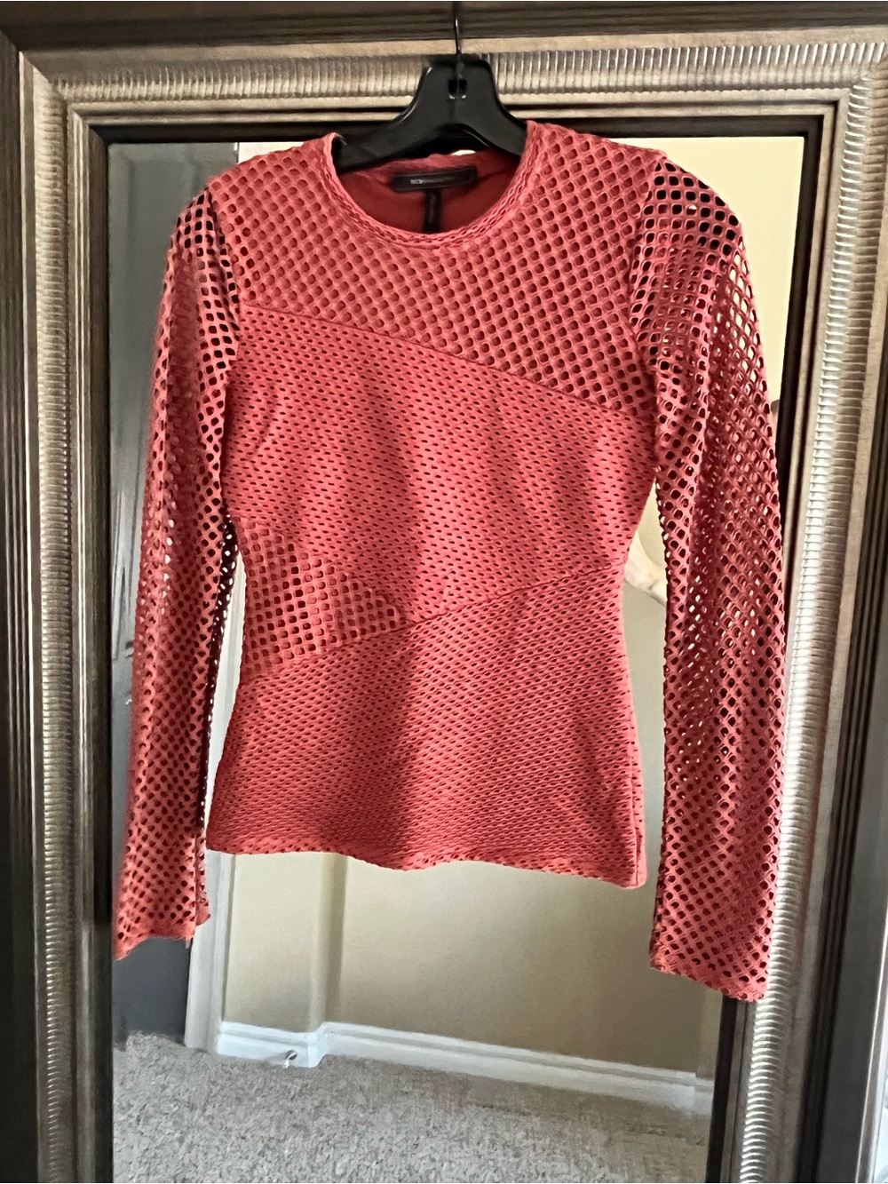 BCBGMaxAzria Coral Mesh Long-Sleeve Top with Sheer Sleeves